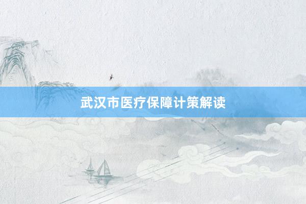武汉市医疗保障计策解读
