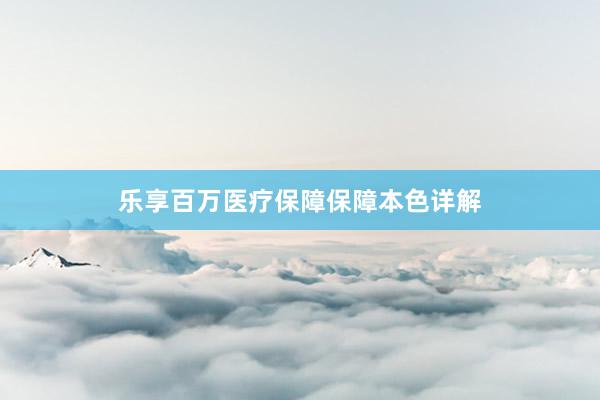 乐享百万医疗保障保障本色详解