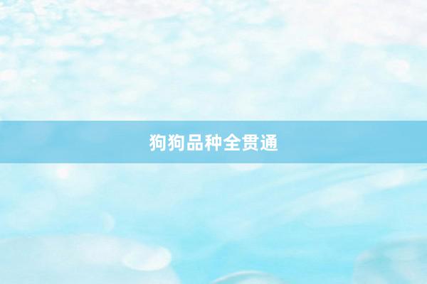 狗狗品种全贯通