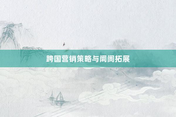跨国营销策略与阛阓拓展
